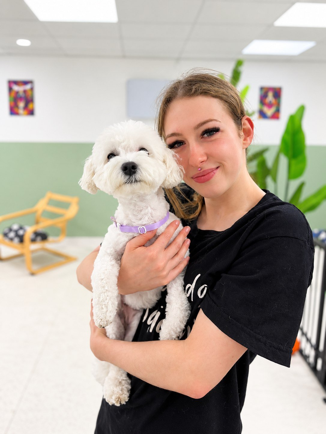 A Zoomies handler with a small dog in the daycare room