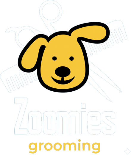 Zoomies